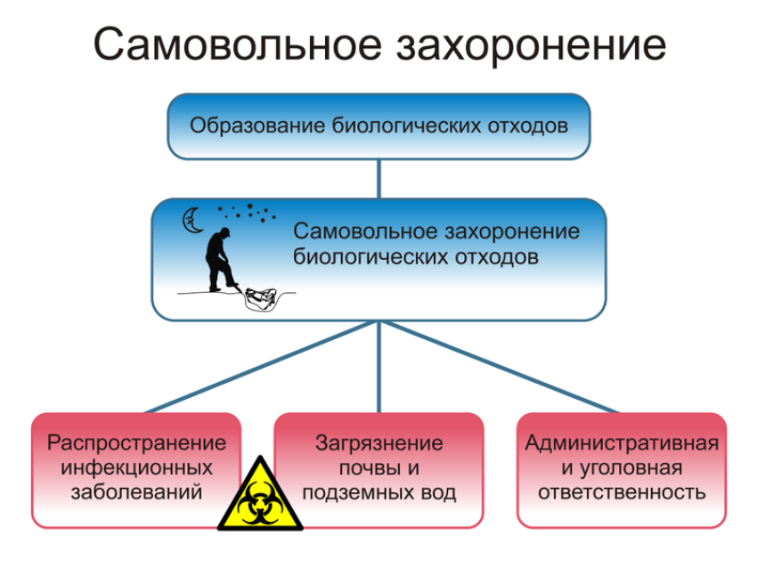 Согласно закону «О ветеринарии», ответственность за здоровье, содержание и использование животных несут их владельцы, в том числе за утилизацию трупов животных после гибели.